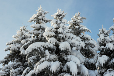 Similar image 956440