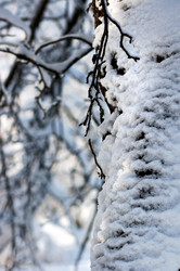 Similar image 956442