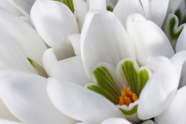 Similar image 956452