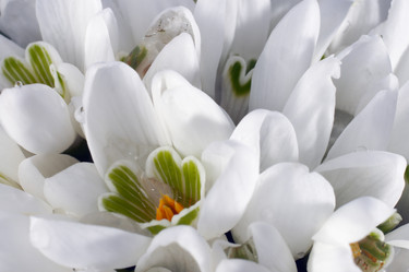 Similar image 956453