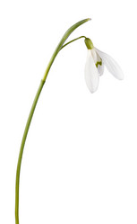 Similar image 956460