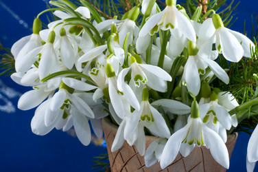 Similar image 956462