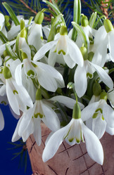 Similar image 956463