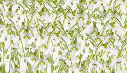 Similar image 956572