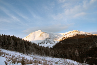 Similar image 956677