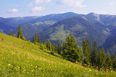 Similar image 956770