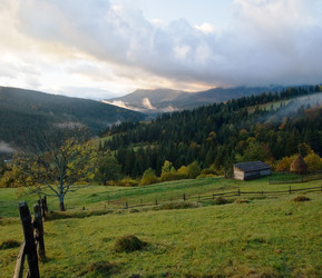 Similar image 956774