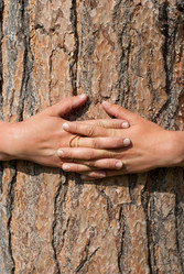 Similar image 956788