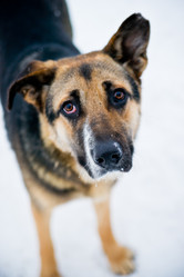 Similar image 956796