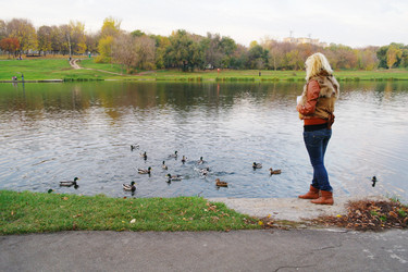 Similar image 956811