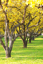 Similar image 956924