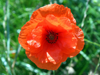 Similar image 957107