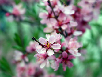 Similar image 957112