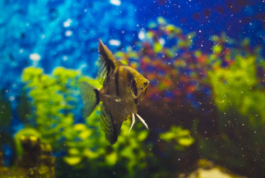 Similar image 957185