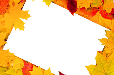 Similar image 957268