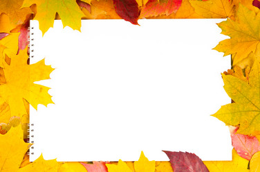 Similar image 957270