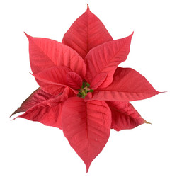 Similar image 957312