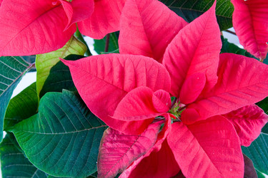 Similar image 957314