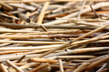 Similar image 957322