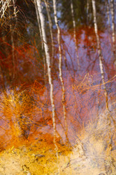 Similar image 957325