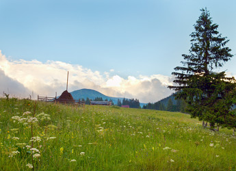 Similar image 957326