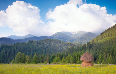 Similar image 957328