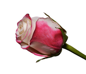 Similar image 957362