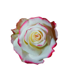 Similar image 957364