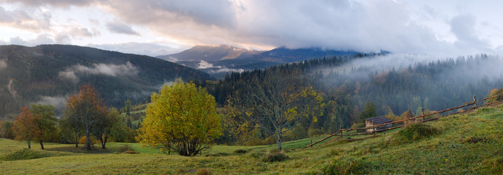 Similar image 957365