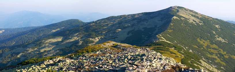 Similar image 957370