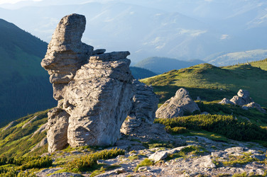 Similar image 957372