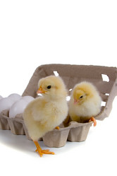 Similar image 957383