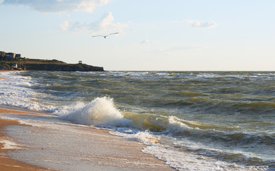 Similar image 957429