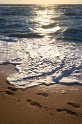 Similar image 957430