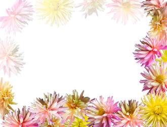 Similar image 957446