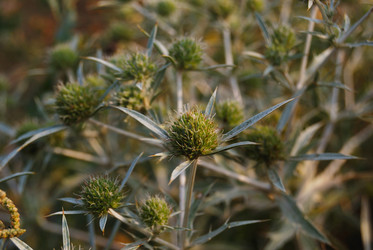 Similar image 957498