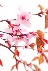 Similar image 957527