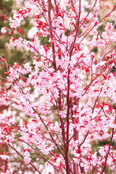 Similar image 957541