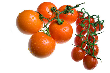 Similar image 957559