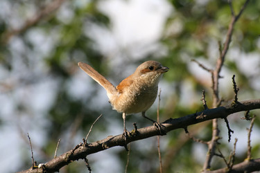 Similar image 957561