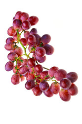 Similar image 957562