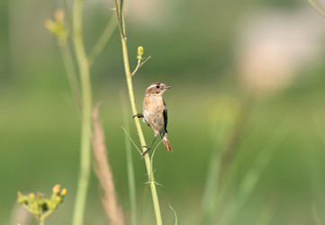 Similar image 957566