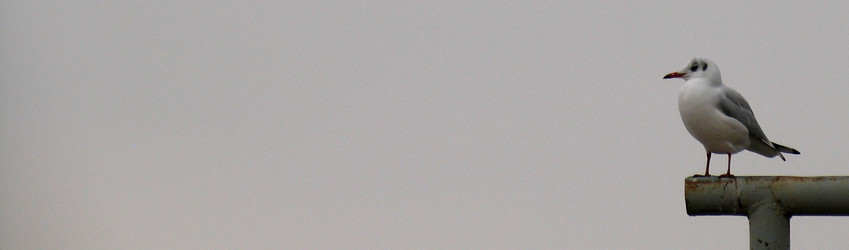 Similar image 957573