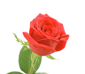 Similar image 957582