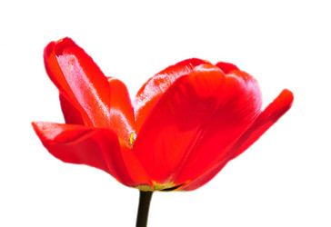 Similar image 957585