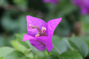 Similar image 957593