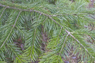 Similar image 957607