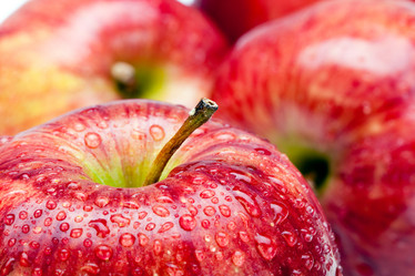 Similar image 957609