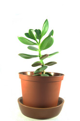 Similar image 957610