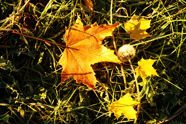 Similar image 957666